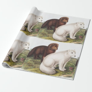Illustration des Arktischen Foxes (Vulpes lagopus) Geschenkpapier