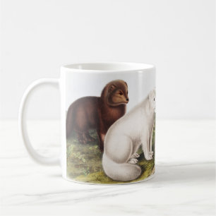 Illustration des Arktischen Foxes (Vulpes lagopus) Kaffeetasse