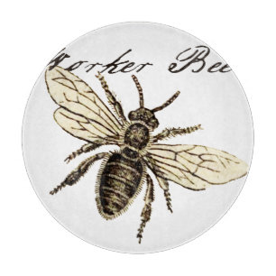 Illustration des Bieneninsekts Schneidebrett