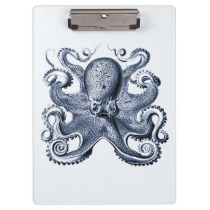 Illustration des blauen Kraken von Ernst Haeckel Klemmbrett