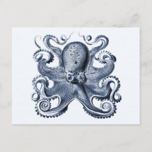 Illustration des blauen Kraken von Ernst Haeckel Postkarte