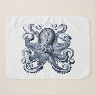Illustration des blauen Kraken von Ernst Haeckel Sherpadecke