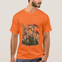 Illustration des Fliegenpilzes im Vintage-Stil