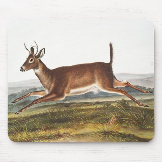 Illustration des Hirns (Cervus leucurus) Mousepad (Vorne)