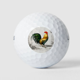 Illustration des Hühnerbruchs aus dem 18. Jahrhund Golfball