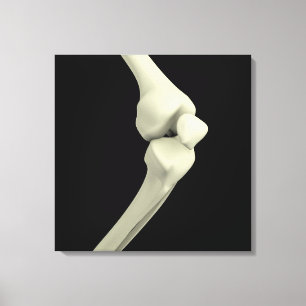 Illustration des Knie-Knochens, verbiegend Leinwanddruck