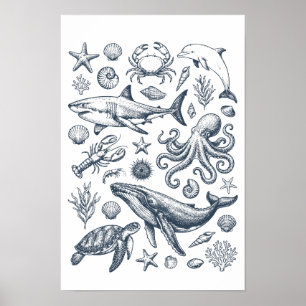 Illustration des marinen Lebens aus der Seefahrtsg Poster