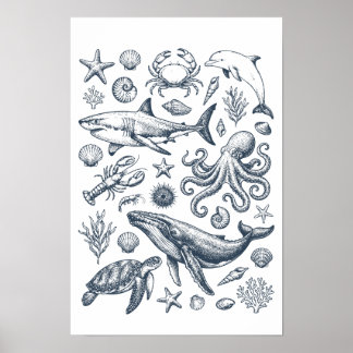 Illustration des marinen Lebens aus der Seefahrtsg Poster