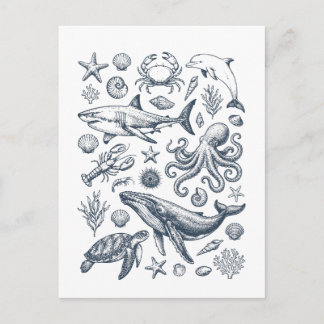 Illustration des marinen Lebens im Vintage-Stil Postkarte
