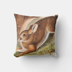 Illustration des Nordhaars (Lepus Americanus) Kissen