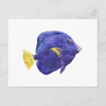 Illustration des Purpurdoktorfisches in Wasserfarb