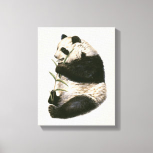 Illustration des riesigen Pandas fütternd auf Leinwanddruck