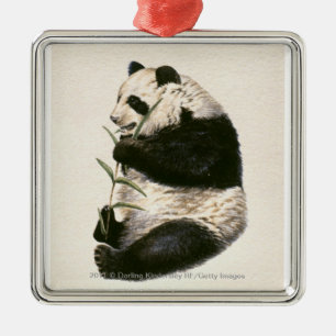 Illustration des riesigen Pandas fütternd auf Silbernes Ornament