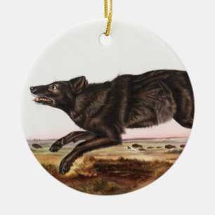Illustration des Schwarzen Amerikanischen Wolfes ( Keramik Ornament