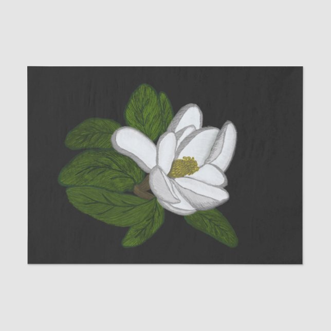 Illustration des südlichen Magnolien Seidenpapier (Vorderseite)