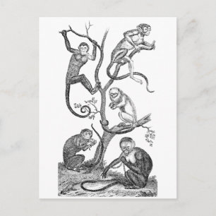 Illustration des Vintagen Affen - Affen des 18. Ja Postkarte