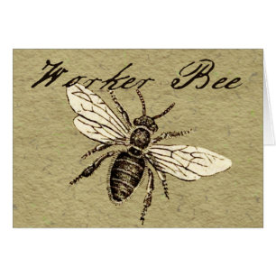Illustration des Vintagen Bieneninsekts Antike