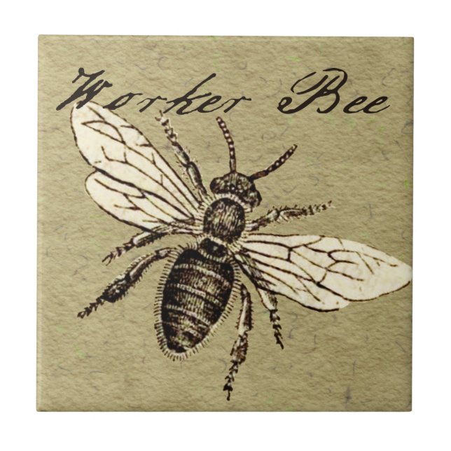 Illustration des Vintagen Bieneninsekts Antike Fliese (Vorderseite)