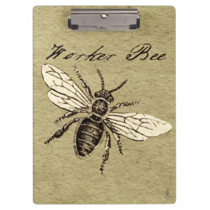 Illustration des Vintagen Bieneninsekts Antike Klemmbrett