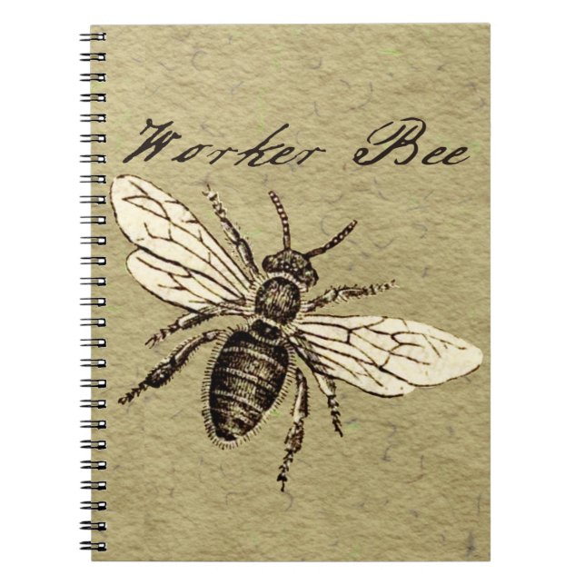 Illustration des Vintagen Bieneninsekts Antike Notizblock (Vorderseite)