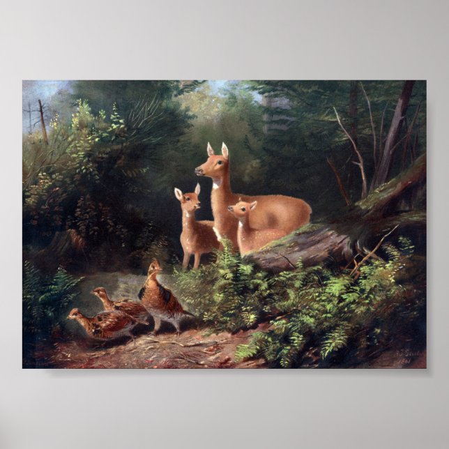 Illustration des Vintagen Hirsches Poster (Vorne)