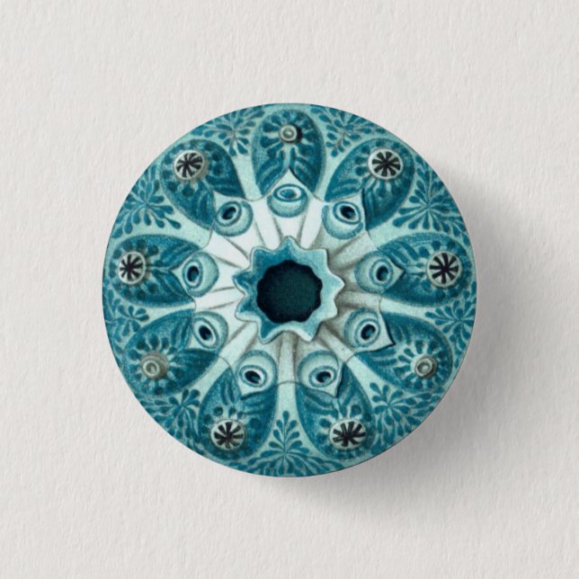 Illustration des Vintagen Meeresmarkts Button (Vorderseite)