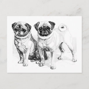 Illustration des Vintagen Mops Postkarte