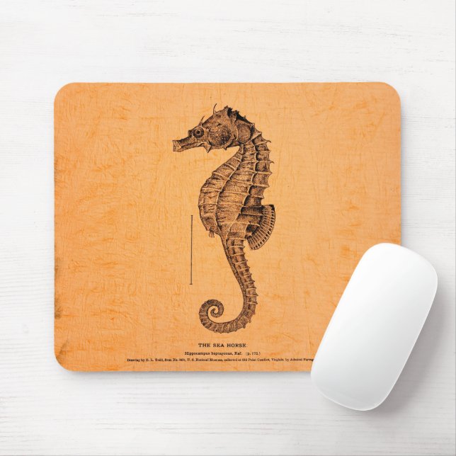 Illustration des Vintagen Seepferds Mousepad (Mit Mouse)