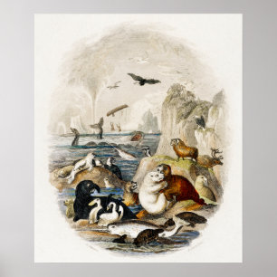 Illustration des Vintagen Siegels Poster