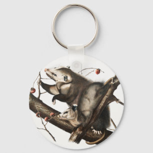 Illustration des Virginischen Opossums Didelphis V Schlüsselanhänger
