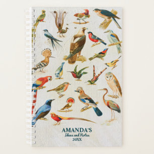 Illustration d'oiseaux vintages Cadeau d'amoureux