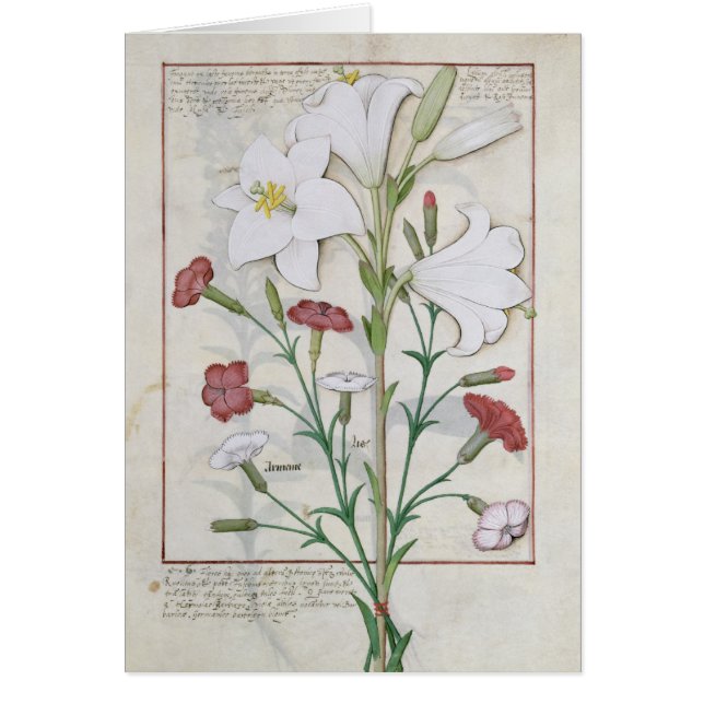 Illustration du 'livre de simple (Devant)