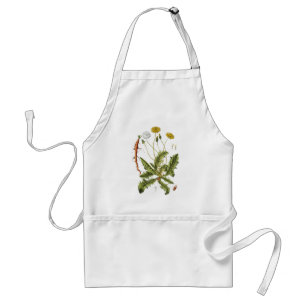 Illustration einer alten Löwenzahnblüte Schürze
