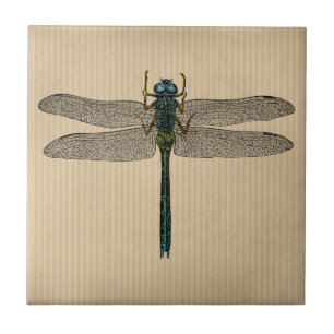 Illustration einer antiken Libelle Fliese