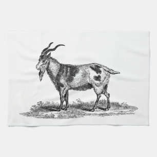 Illustration einer einheimischen Ziege aus der vik Handtuch