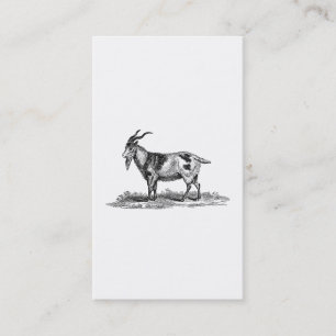 Illustration einer einheimischen Ziege aus der vik Visitenkarte