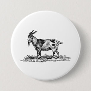 Illustration einer Hausziege im Vintage-Stil - Zie Button