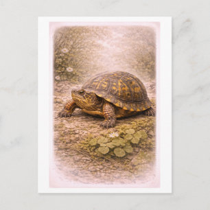 Illustration einer Landschildkröte im Vintage-Stil Postkarte