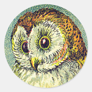 Illustration einer süßen alten Schleiereule in Bra Runder Aufkleber