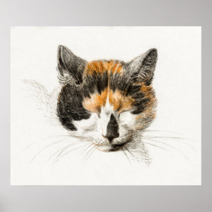 Illustration einer Vintage-Katze Poster