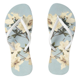 Illustration einer weißen Azaleenblüte im Vintage- Flip Flops