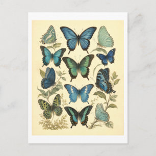 Illustration eines blauen Schmetterlings im Vintag Postkarte