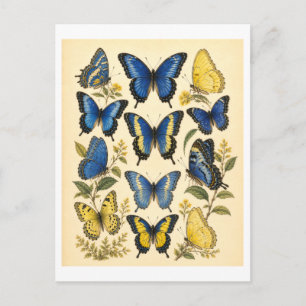 Illustration eines blauen und gelben Schmetterling Postkarte
