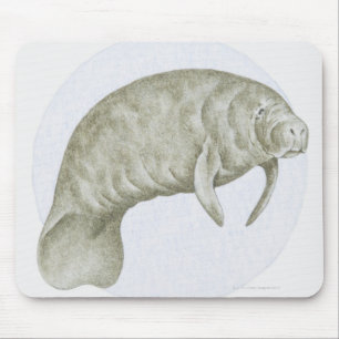 Illustration eines Manatiss (Trichechus SP.) Mousepad