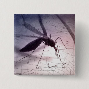 Illustration eines Moskitobeißens Button