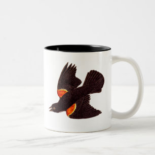 Illustration eines roten Flügel-Schwarzvogels aus Zweifarbige Tasse