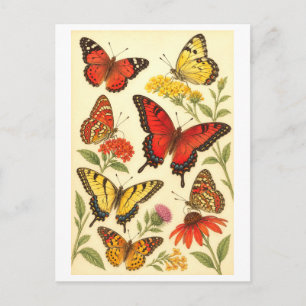 Illustration eines roten und gelben Schmetterlings Postkarte