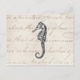 Illustration eines Seepferdchens aus Hawaii aus de Postkarte