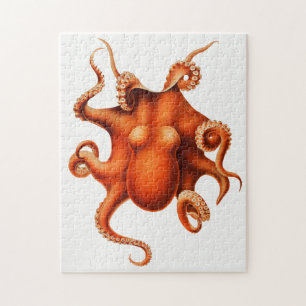 Illustration eines Vintage-Tintenfisches