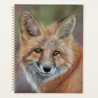Illustration Fox planificateur quotidien